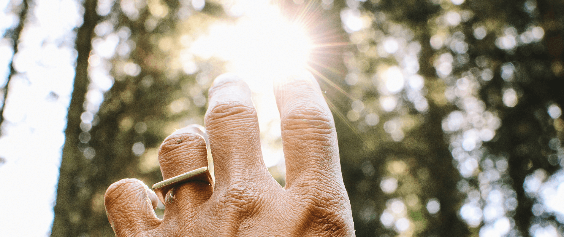 Hand reaching toward the sky with sunlight above fingertips and trees in the background, symbolizing growth, connection, and holistic wellness.
